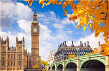 英國利物浦大學在線IT課程模式開啟
