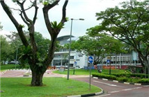香港留學如何找工作呢？