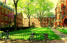 倫敦大學亞非學院面試官為大家送福利啦！