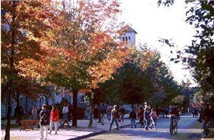 杜蘭大學金融專業解析