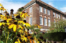 頂尖院校之爭：倫敦大學學院與帝國理工學院