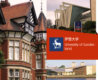 薩里大學
