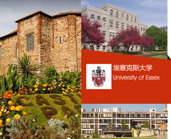 埃塞克斯大學