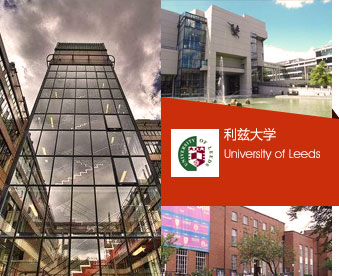 利茲大學
