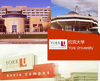 約克大學