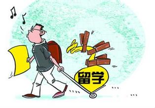 留學英國你最喜歡的專業都在碗里了