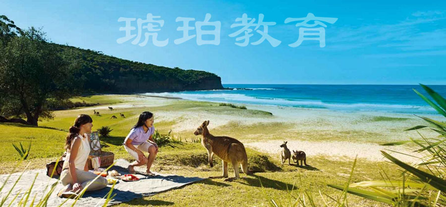 琥珀教育 澳洲留學